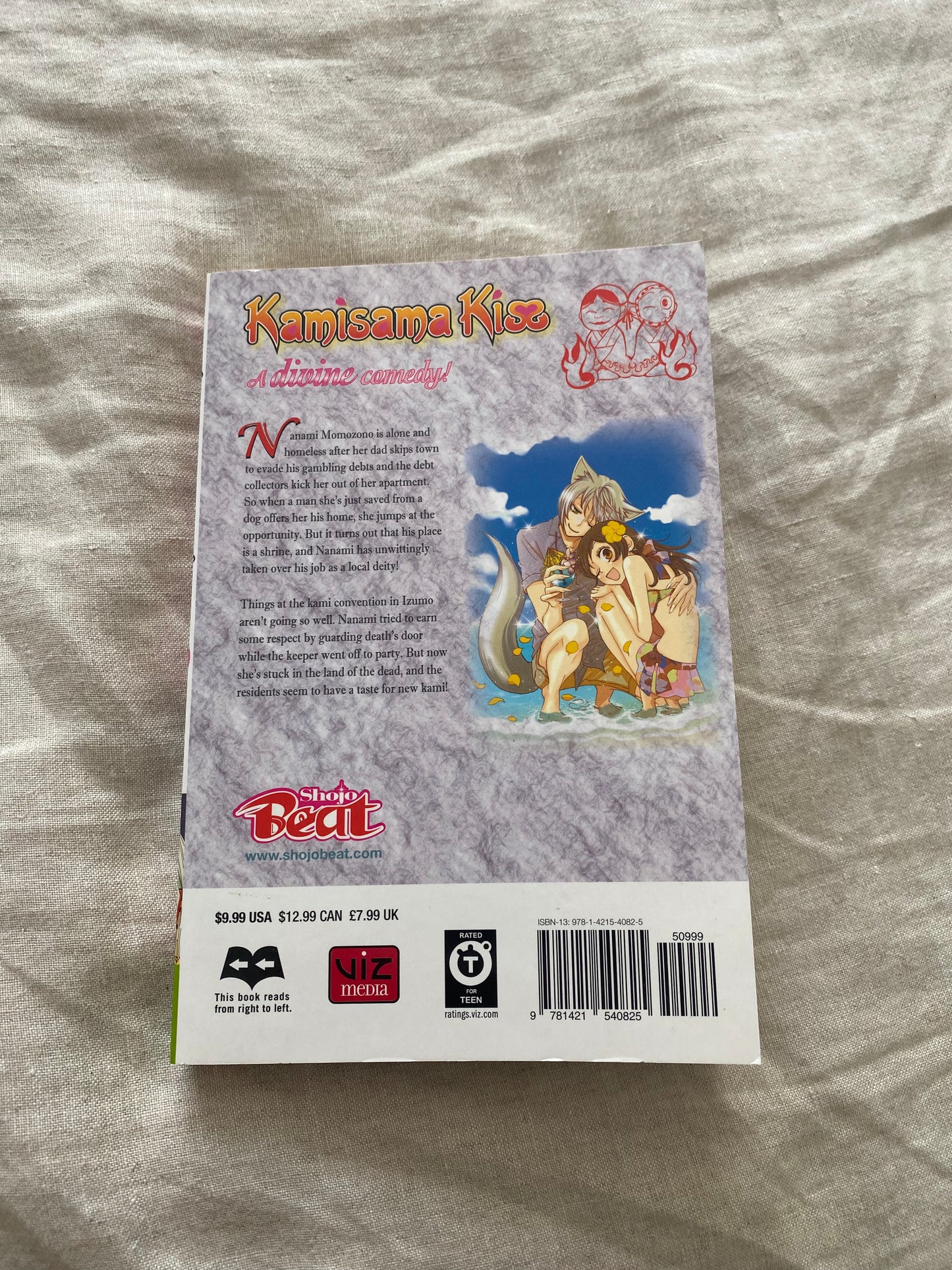 Kamisama Kiss, Volume 8 (Kamisama Kiss Series #8)