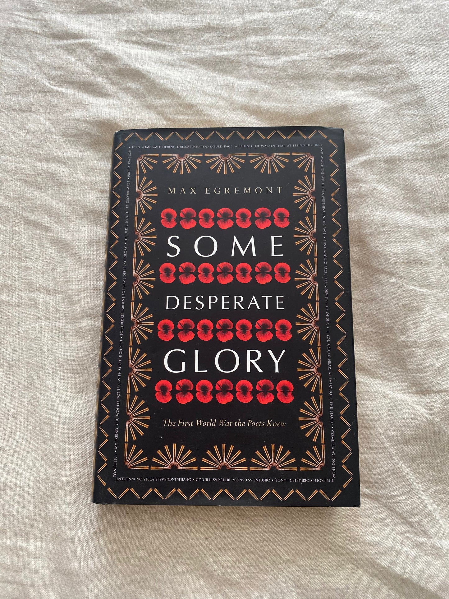 Some Desperate Glory: The First World War the Poets Knew