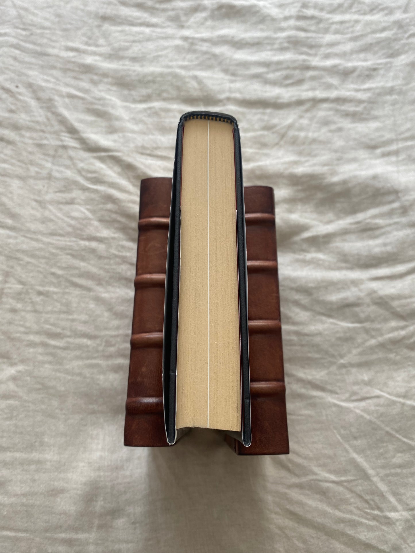 Some Desperate Glory: The First World War the Poets Knew