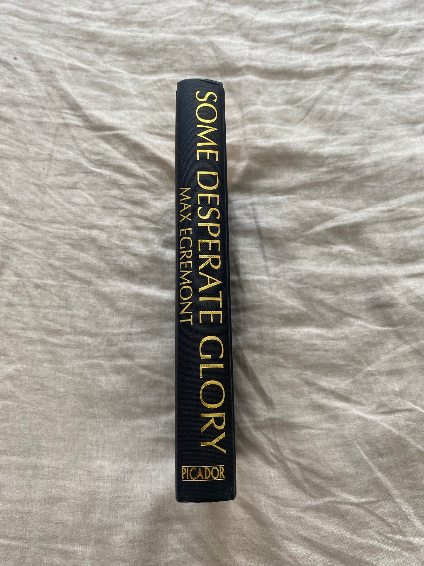 Some Desperate Glory: The First World War the Poets Knew