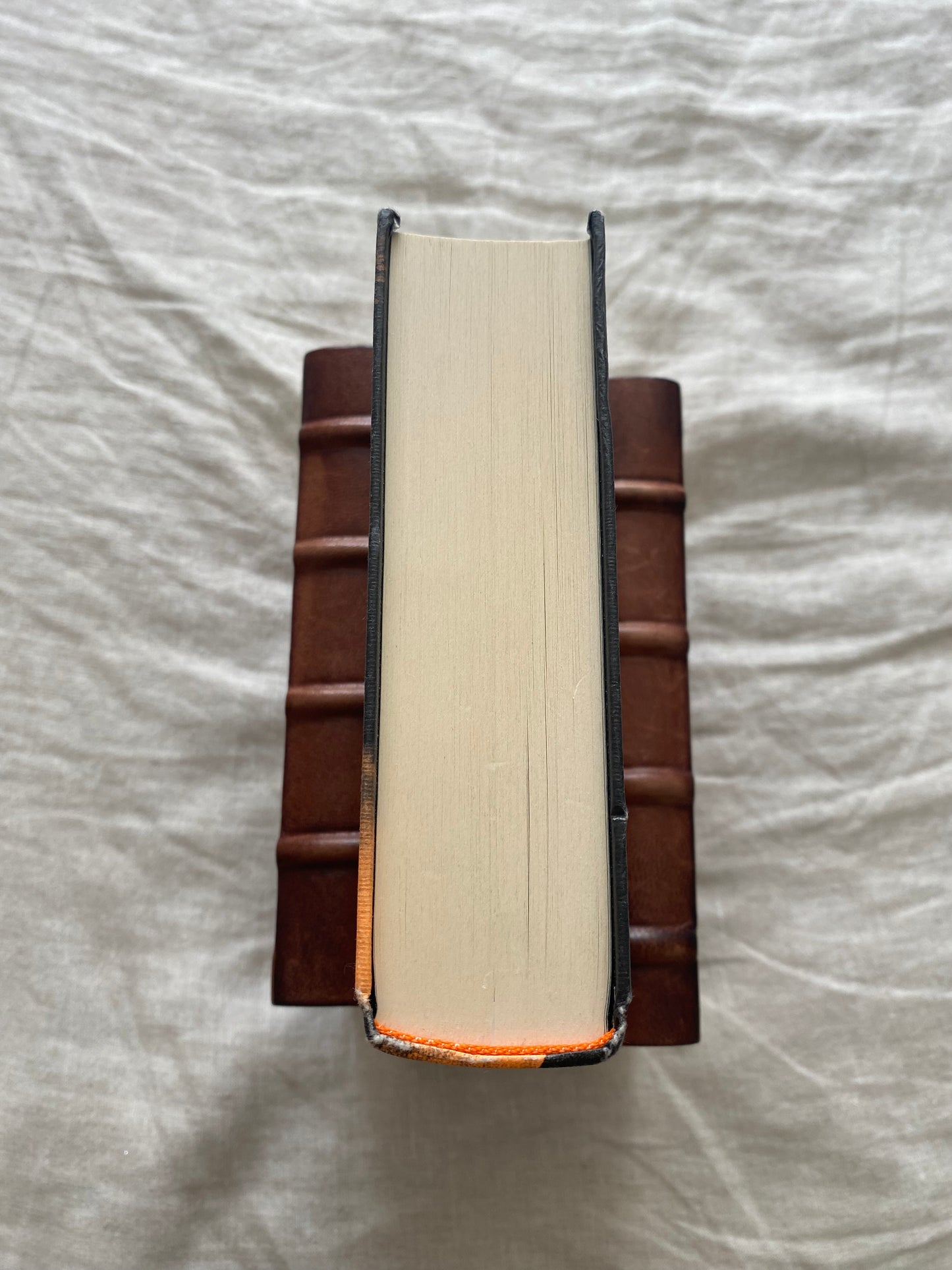Armageddon Outta Here: The World of Skulduggery Pleasant