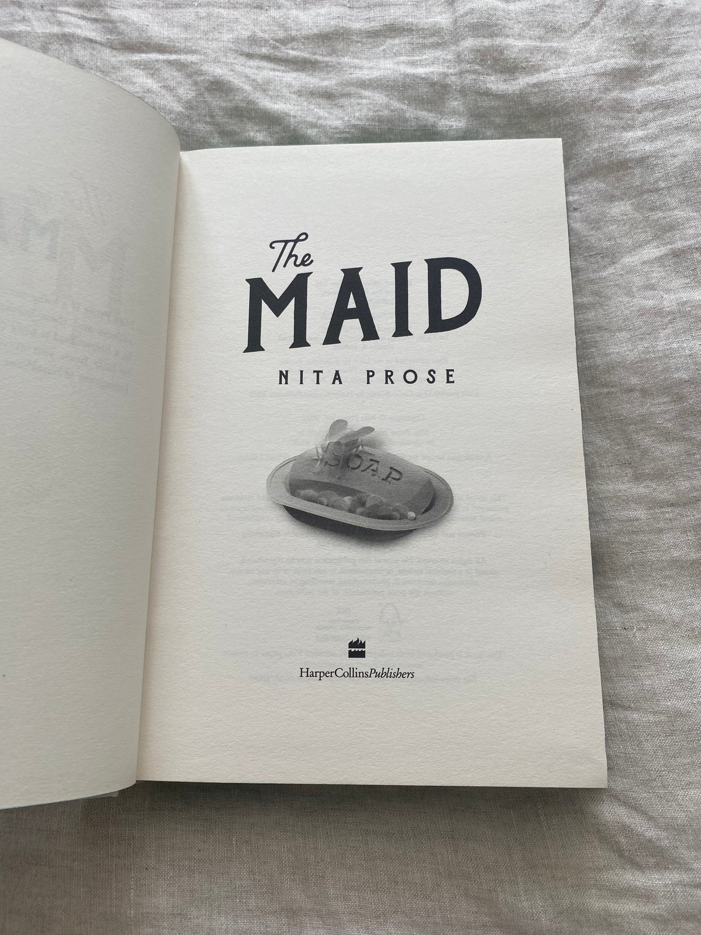 The Maid (Molly the Maid Series #1)