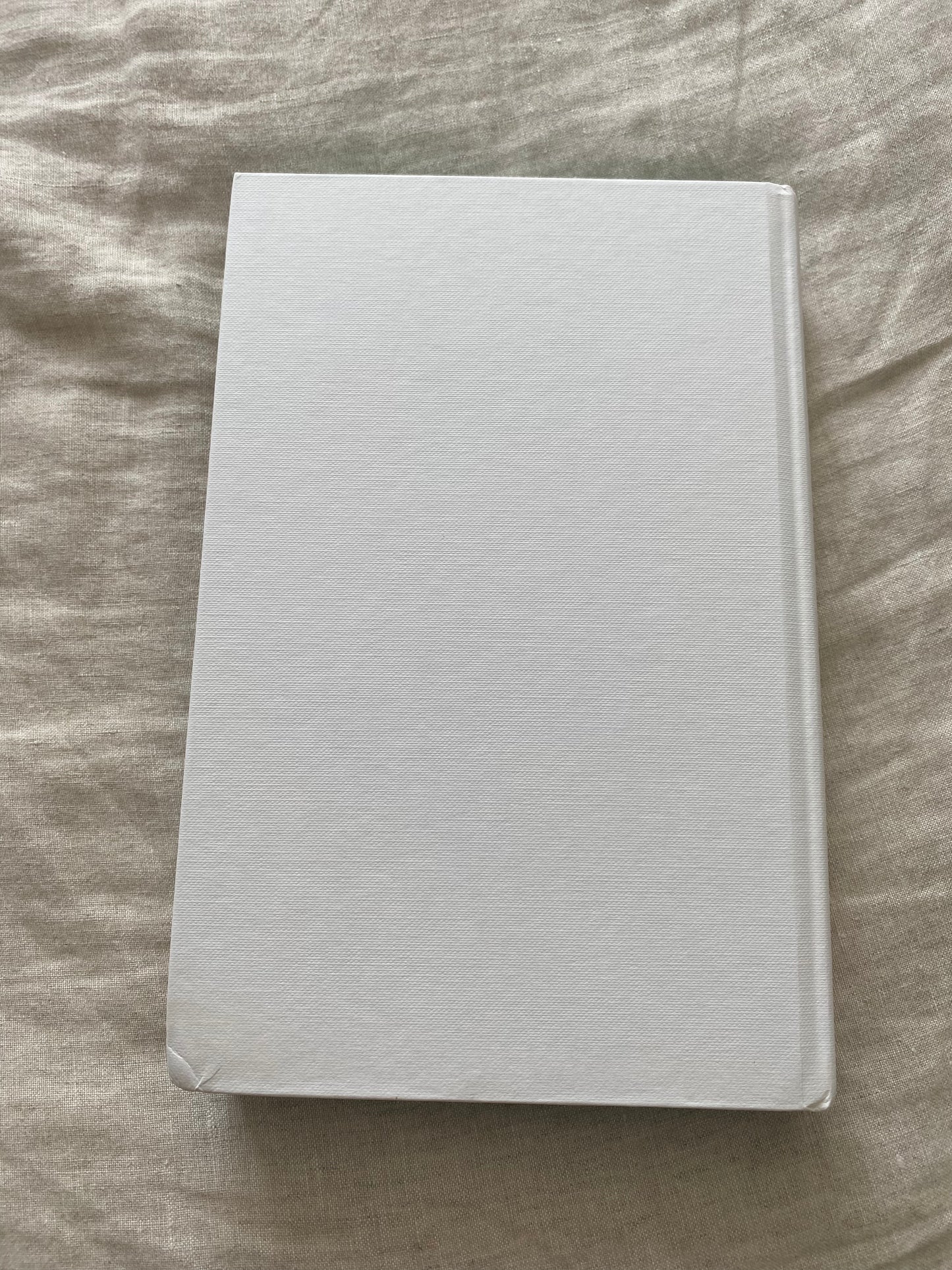 The Maid (Molly the Maid Series #1)