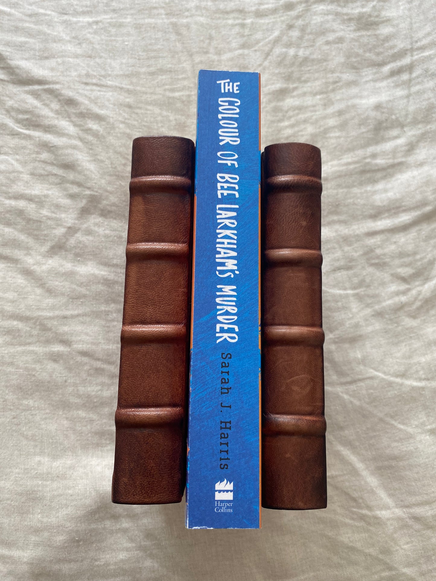 The Colour of Bee Larkham's Murder