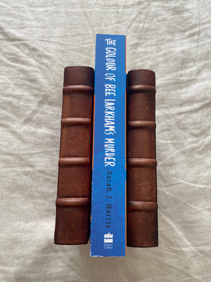 The Colour of Bee Larkham's Murder