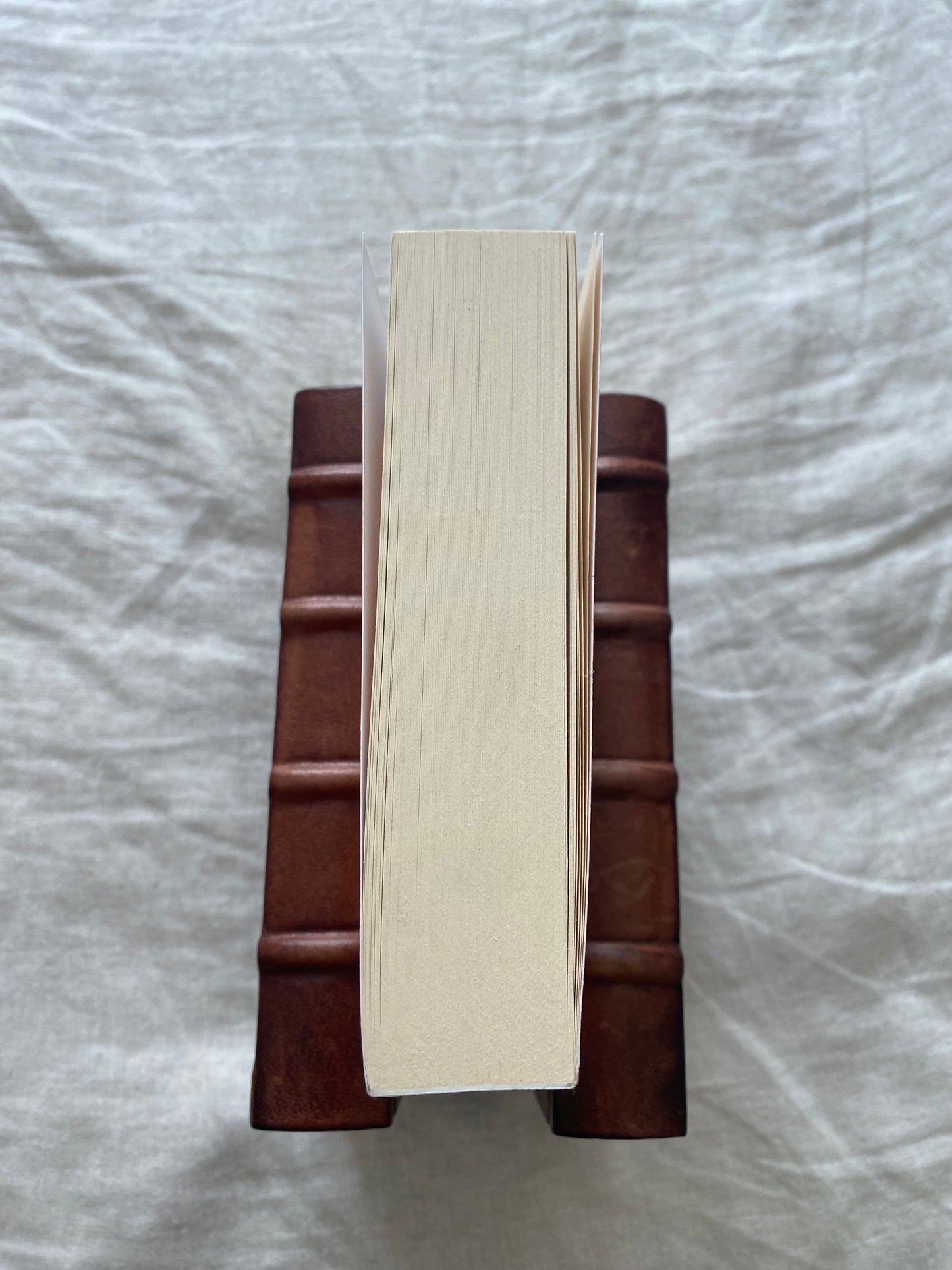 The Colour of Bee Larkham's Murder