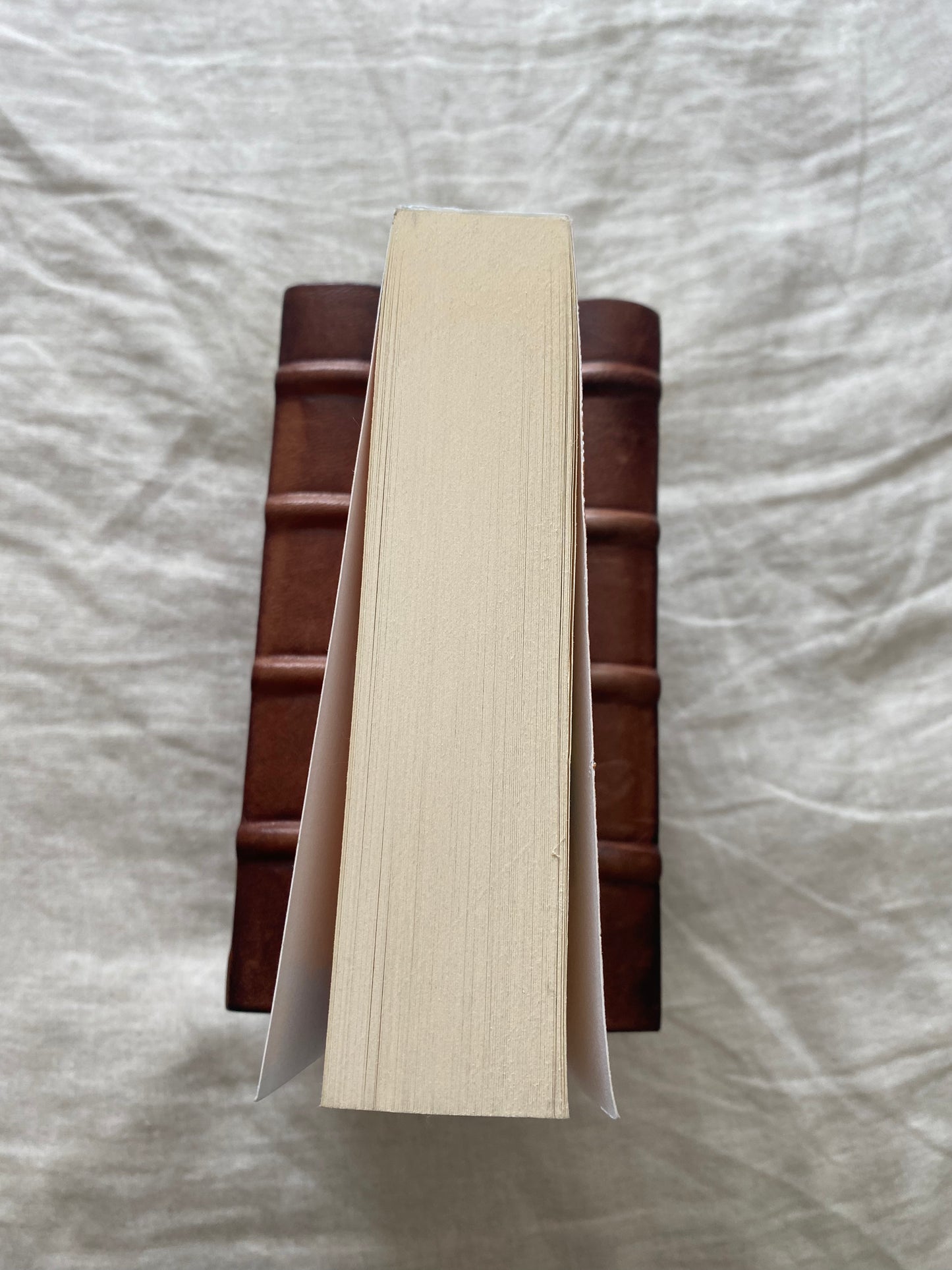The Colour of Bee Larkham's Murder