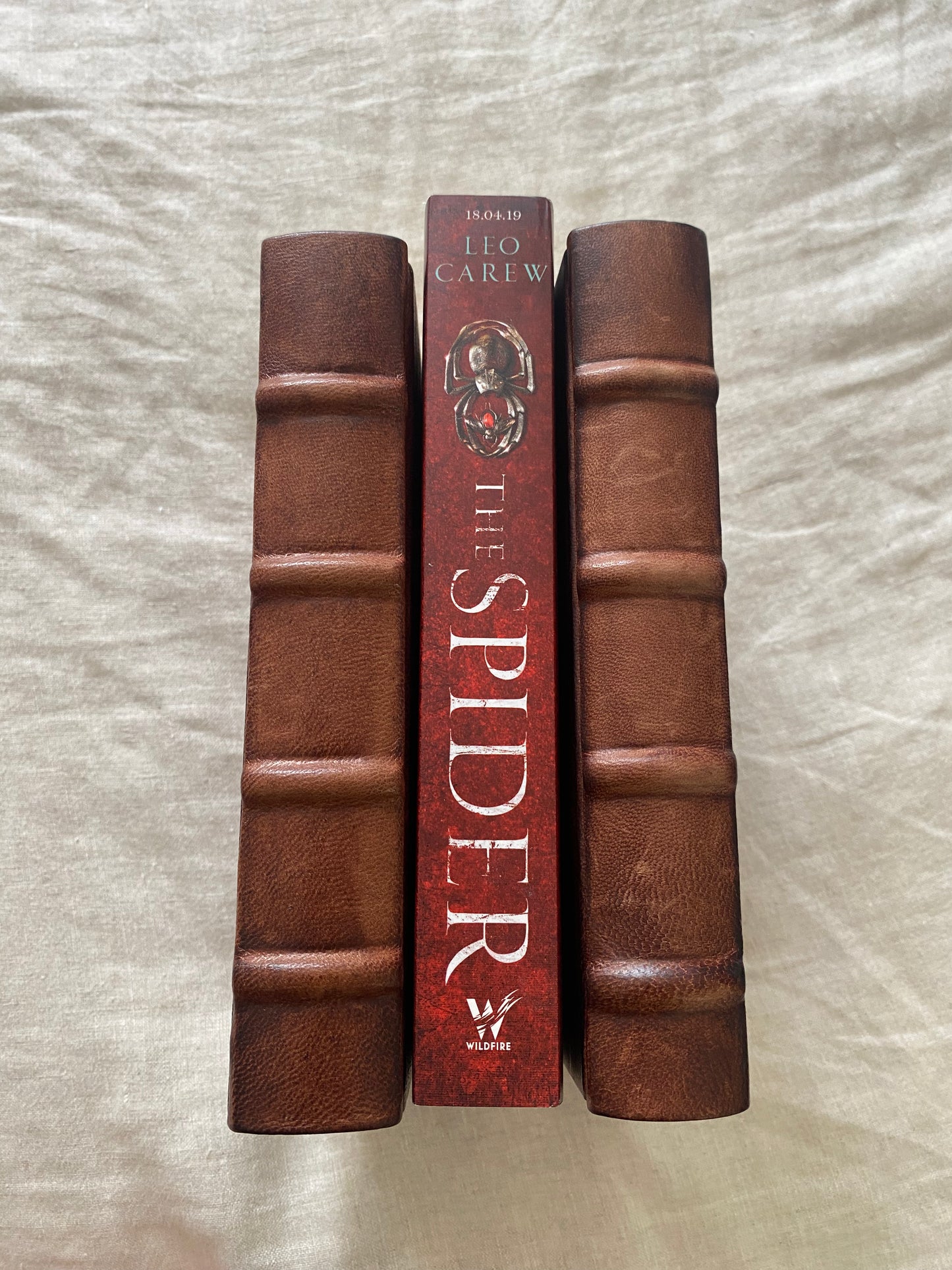 The Spider (Under the Northern Sky Series #2)