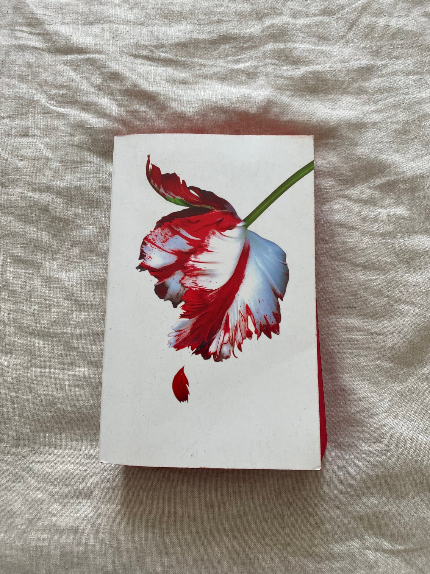 New Moon (The Twilight Saga #2)