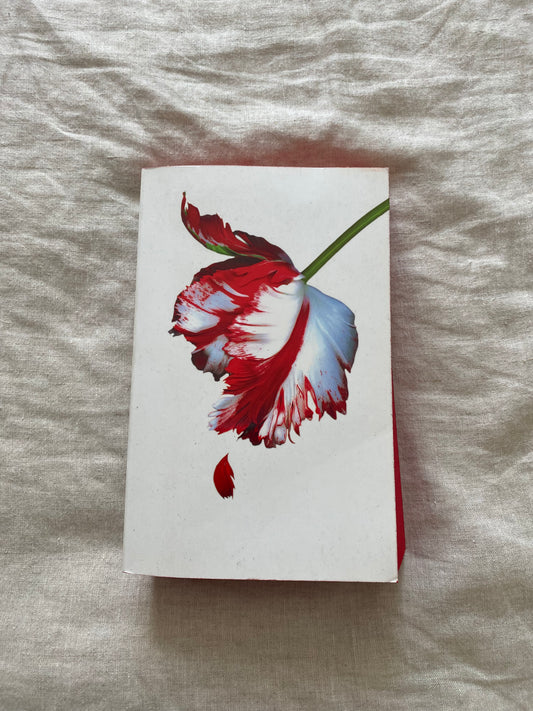 New Moon (The Twilight Saga #2)
