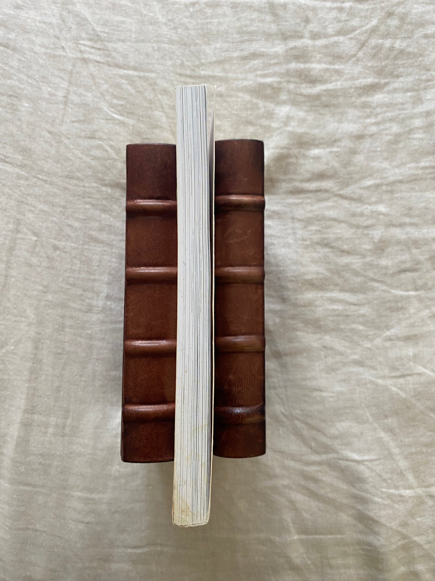 The Back Bible: For Anyone with Back Problems, and Everyone Who Wants to Avoid Them