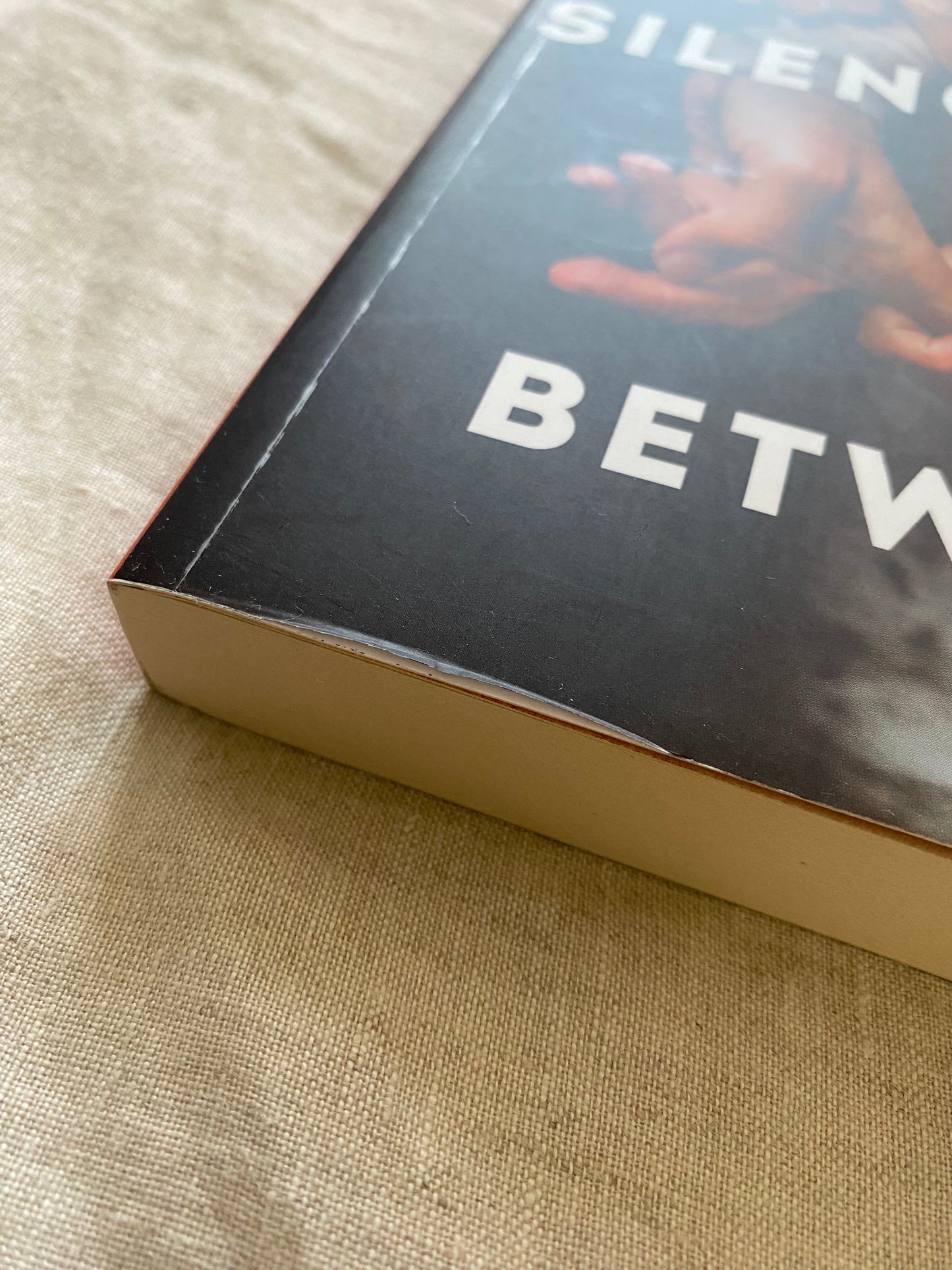 The Silence in Between