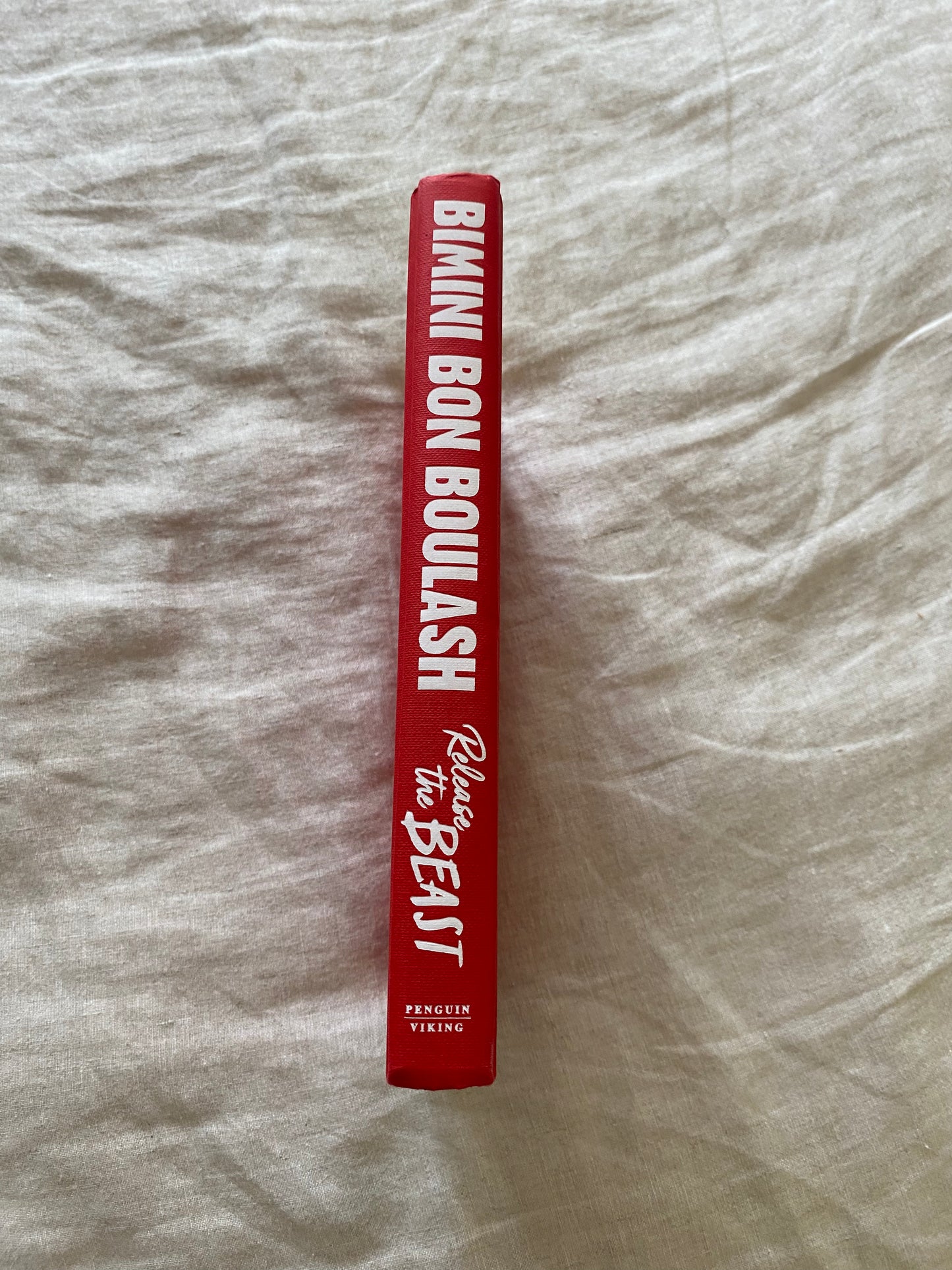 Release the Beast: A Drag Queen's Guide to Life
