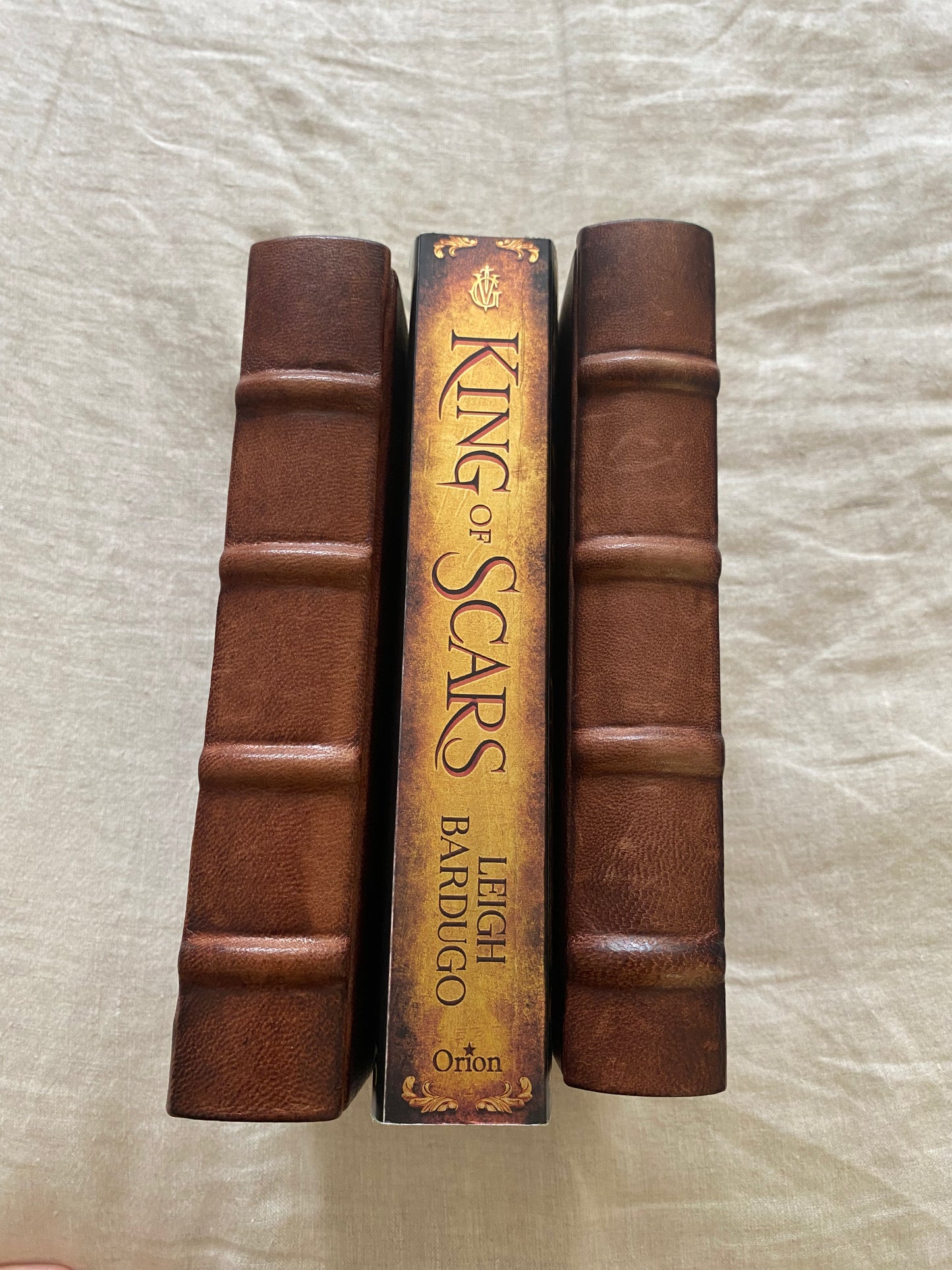 King of Scars (King of Scars Duology #1)