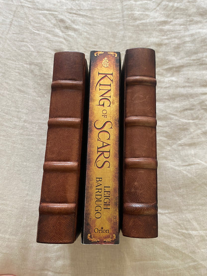 King of Scars (King of Scars Duology #1)
