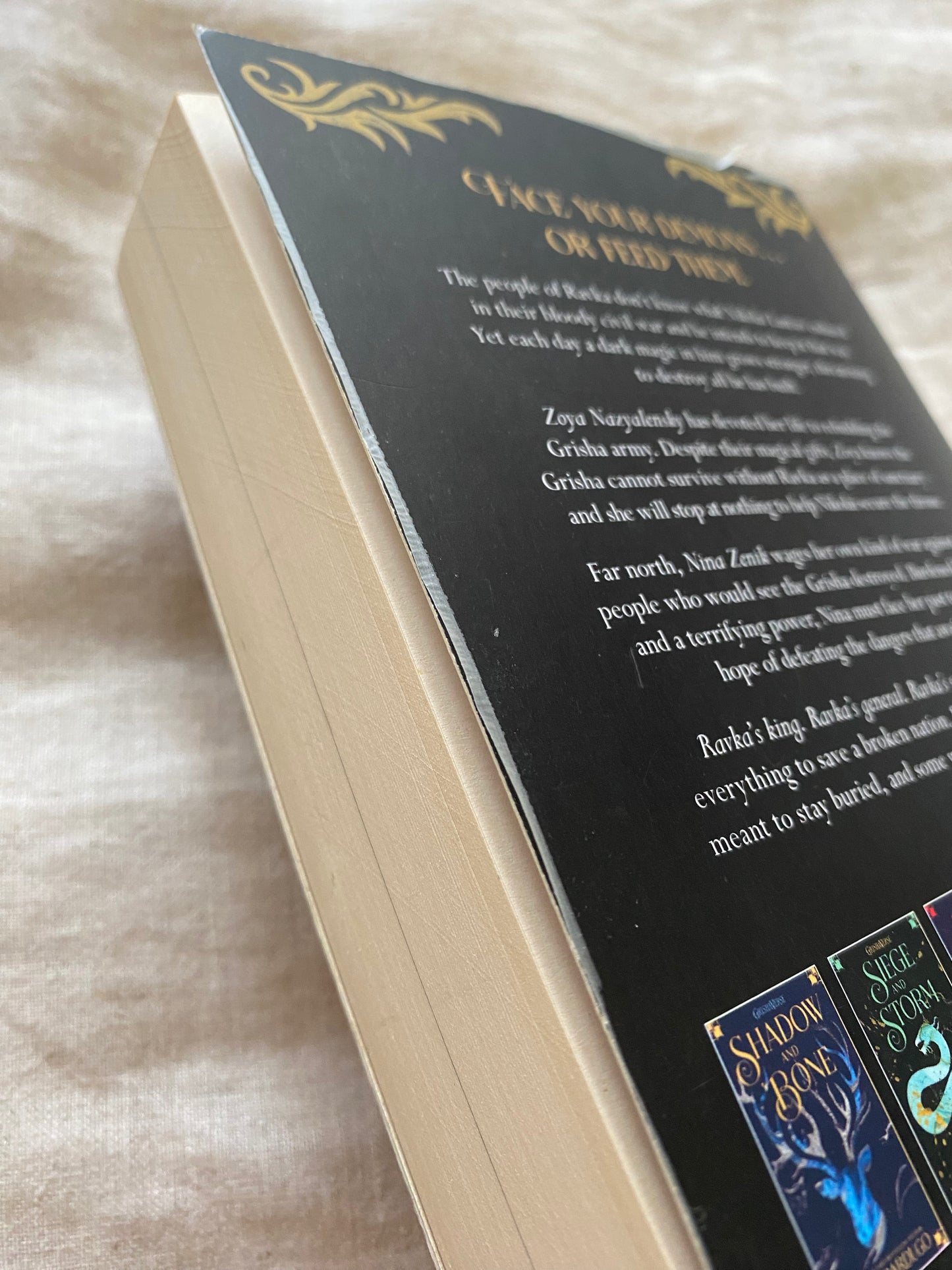 King of Scars (King of Scars Duology #1)