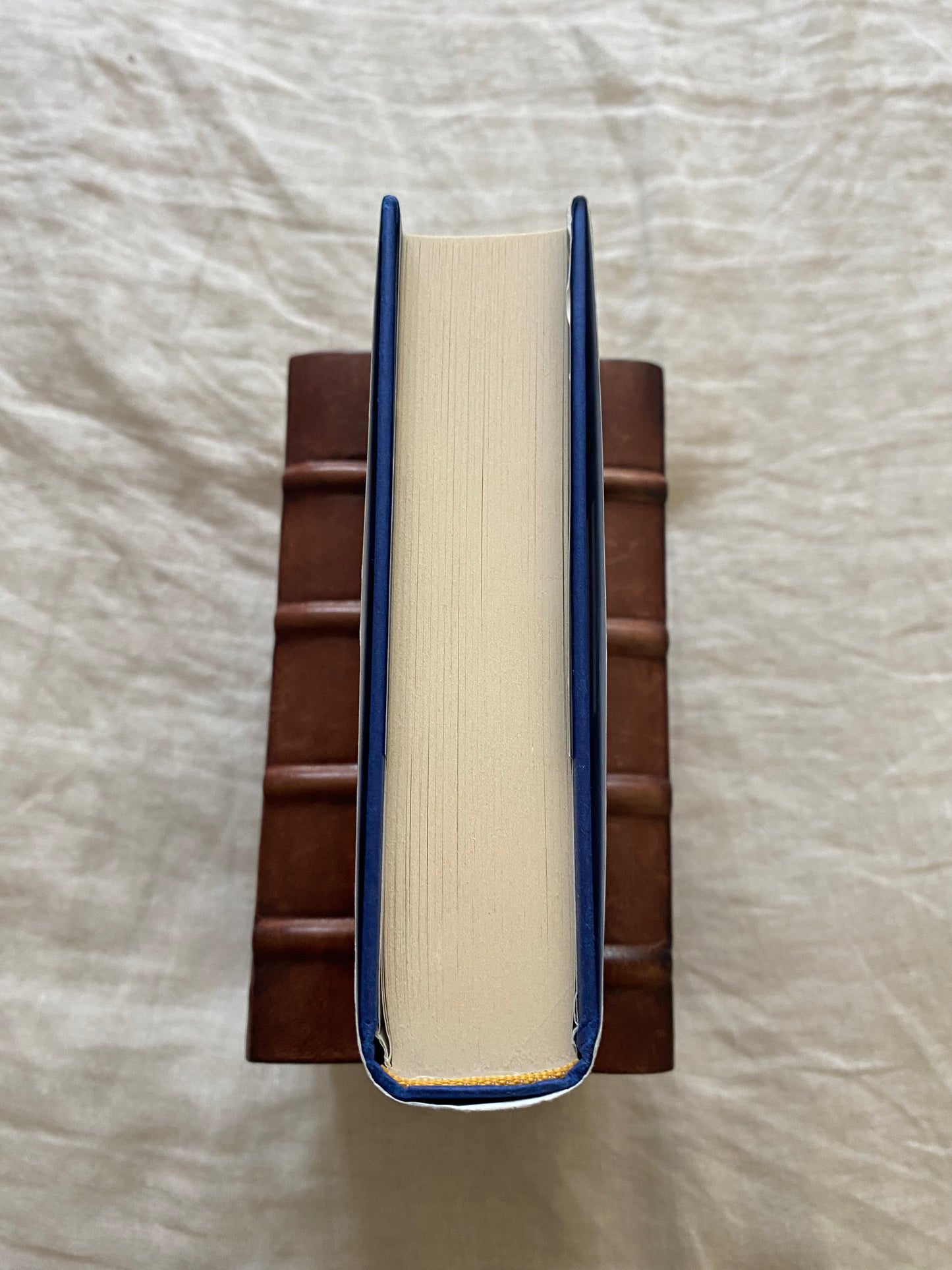 The Companion