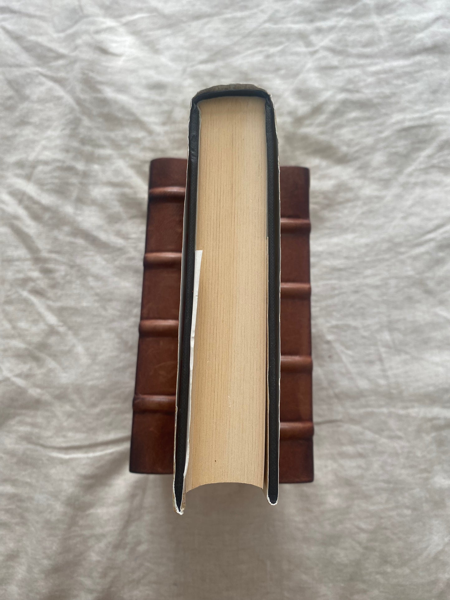 The Silent and the Damned (Javier Falcón Series #2)