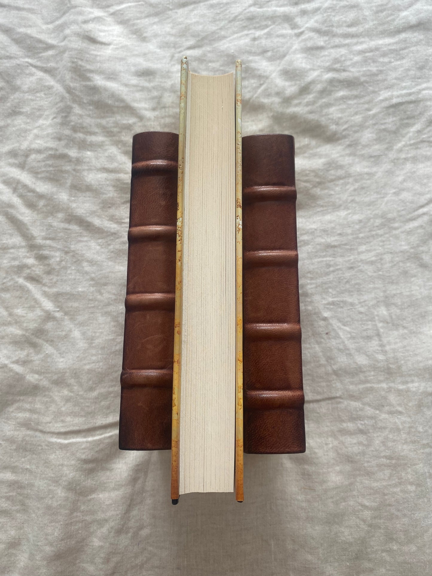 The Silent and the Damned (Javier Falcón Series #2)