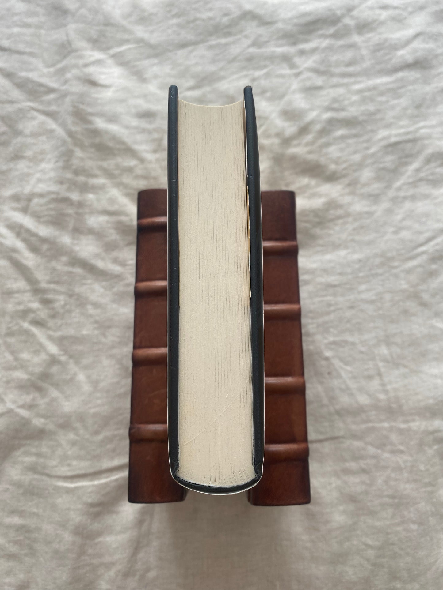 The Silent and the Damned (Javier Falcón Series #2)