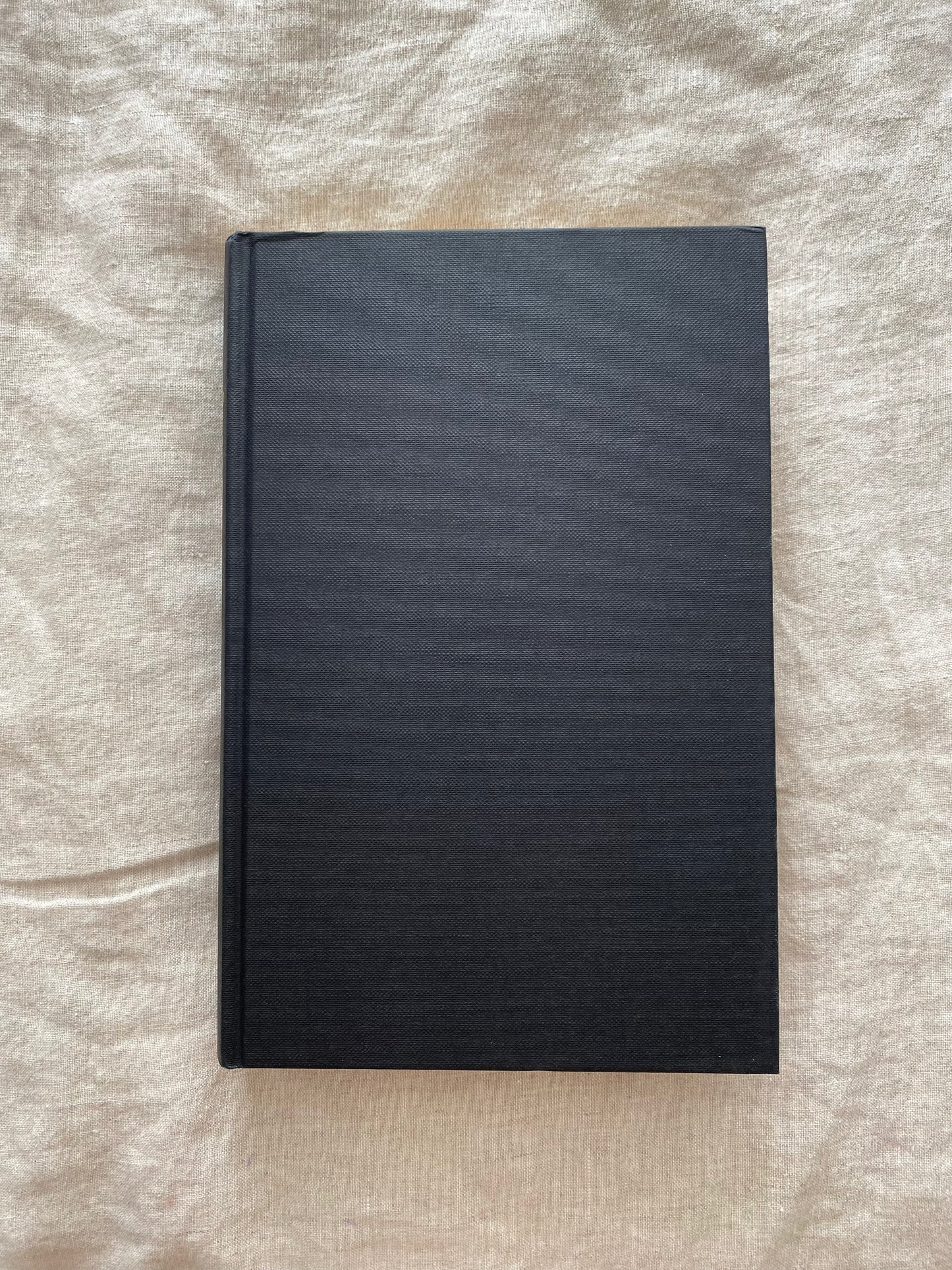 The Silent and the Damned (Javier Falcón Series #2)