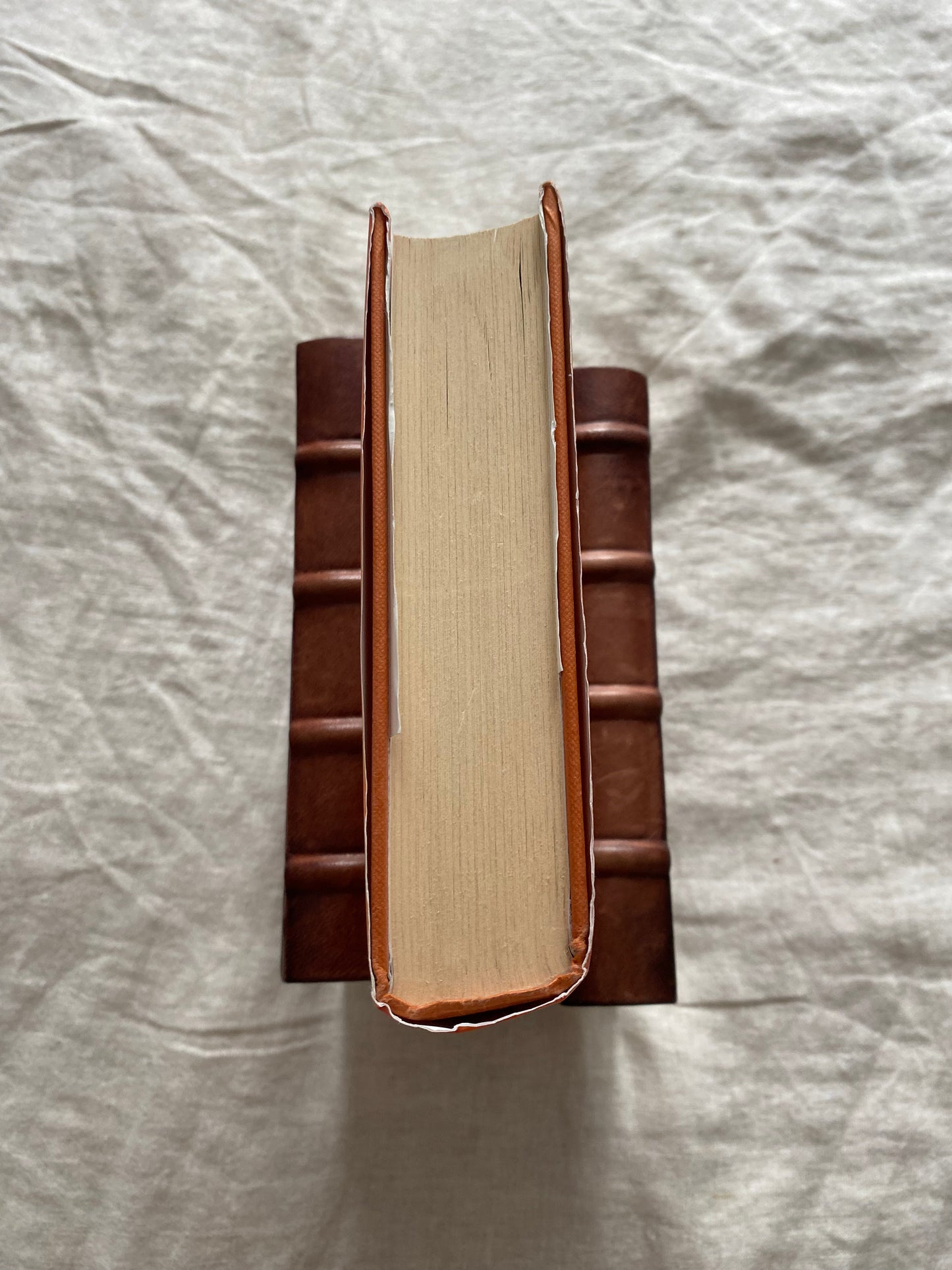 The Devil’s Redhead