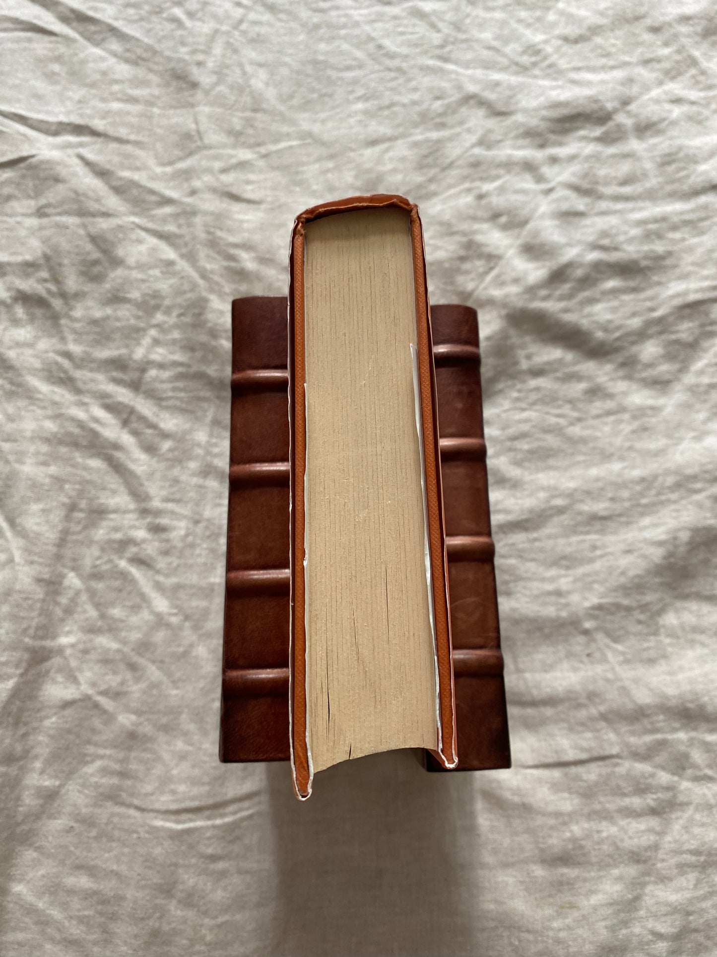 The Devil’s Redhead